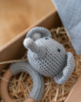 Set de regalo de nacimiento de elefante personalizado